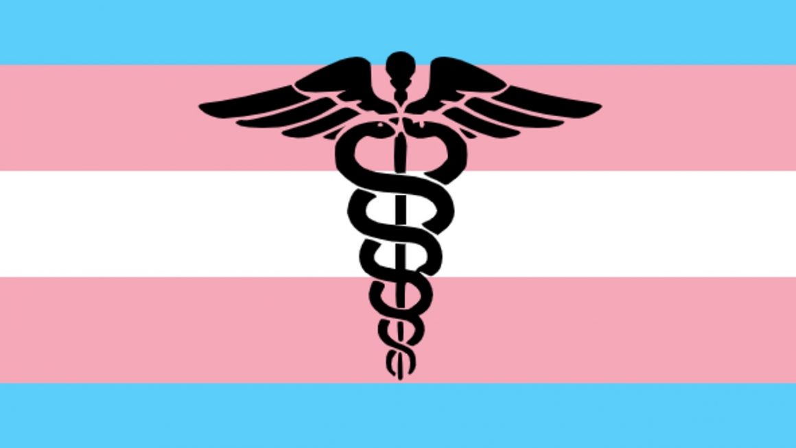 Week 49 and Gender Affirming Updates